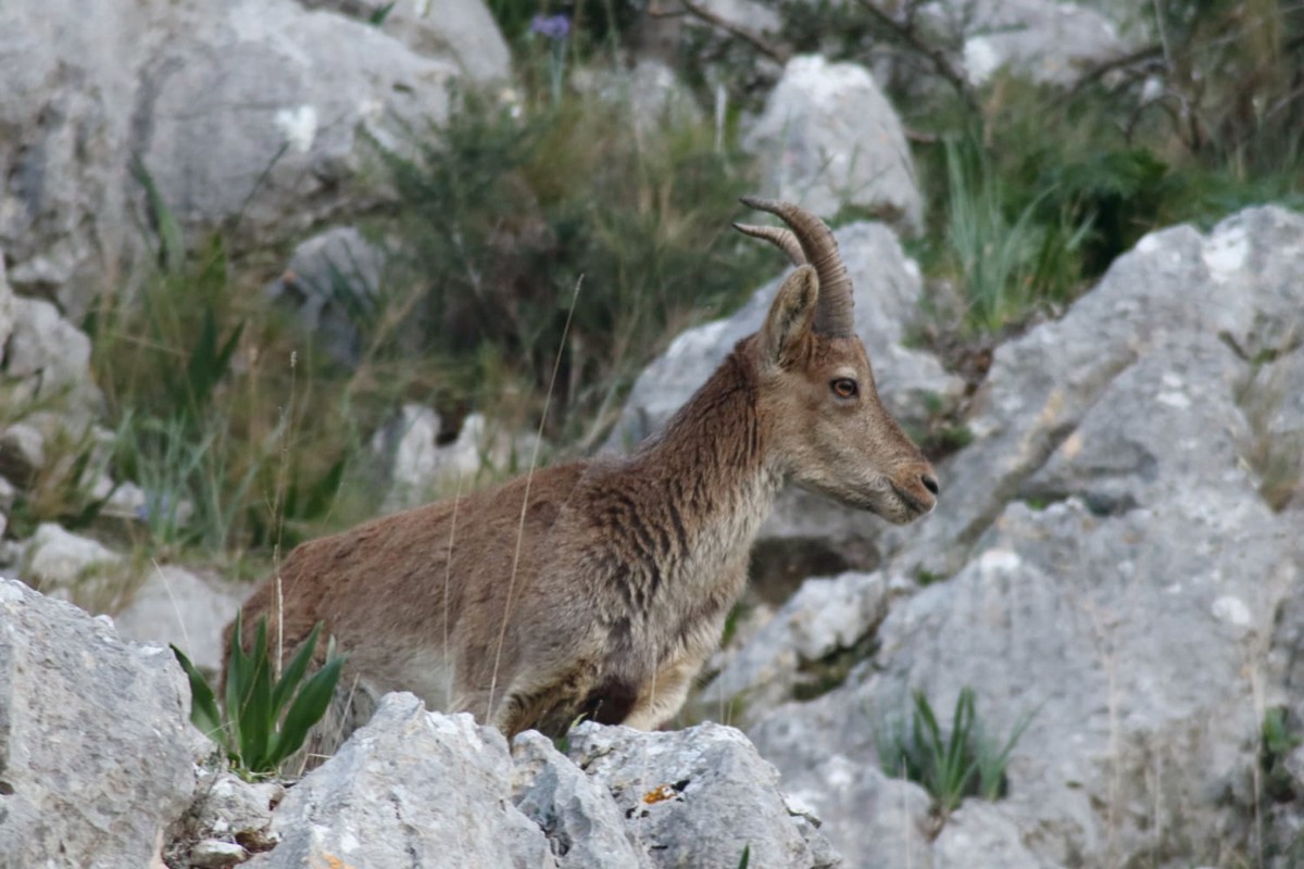 a4fd0567-6bea-4367-b368-cb8dc0dbf3f6